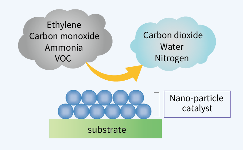 Illustration of the reaction pathway between a catalyst and a malodorous gas